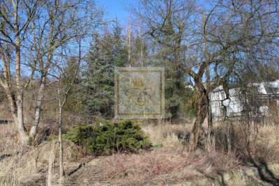 Murowana Goślina działka pod kameralne osiedle - Murowana Goślina   -
wielkopolskie Zdjęcie nr 5