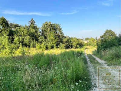 Mosina działka z warunkami zabudowy przy Wielkopolskim Parku Narodowym - Mosina   -
wielkopolskie Zdjęcie nr 4