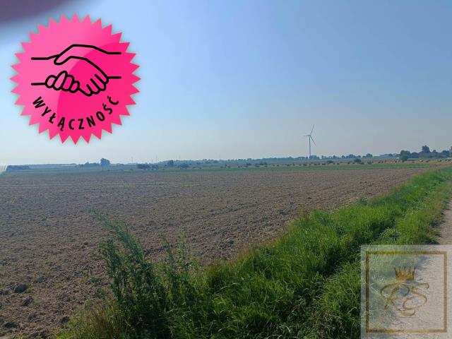 Tanie działki budowlane z warunkami zabudowy - Orzeszkowo   -
wielkopolskie Zdjęcie nr 1