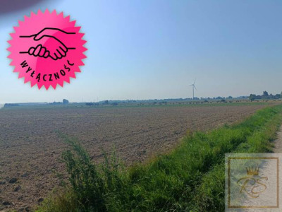 Tanie działki budowlane z warunkami zabudowy - Orzeszkowo   - wielkopolskie