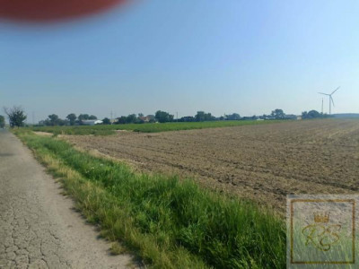 Tanie działki budowlane z warunkami zabudowy - Orzeszkowo   -
wielkopolskie Zdjęcie nr 2