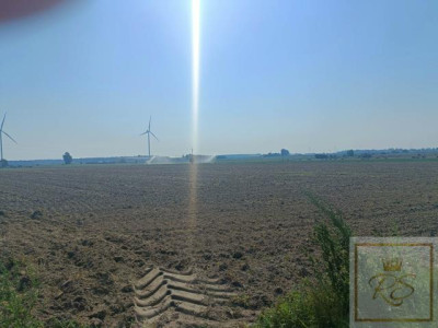 Tanie działki budowlane z warunkami zabudowy - Orzeszkowo   -
wielkopolskie Zdjęcie nr 3