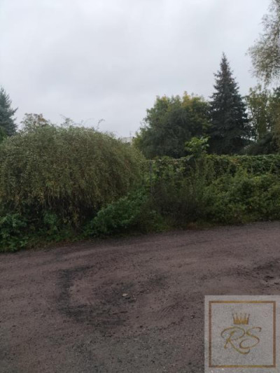 Atrakcyjna działka budowlana - Ławica  -
wielkopolskie Zdjęcie nr 3