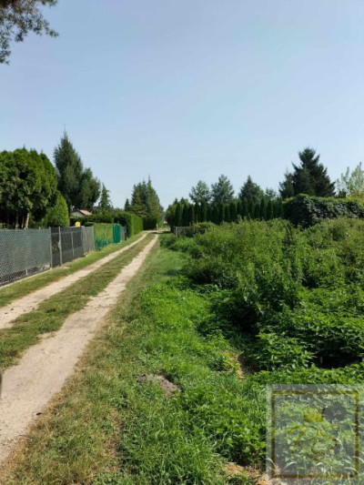 Działka budowlana 70 m od jeziora  - Strykowo   -
wielkopolskie Zdjęcie nr 4