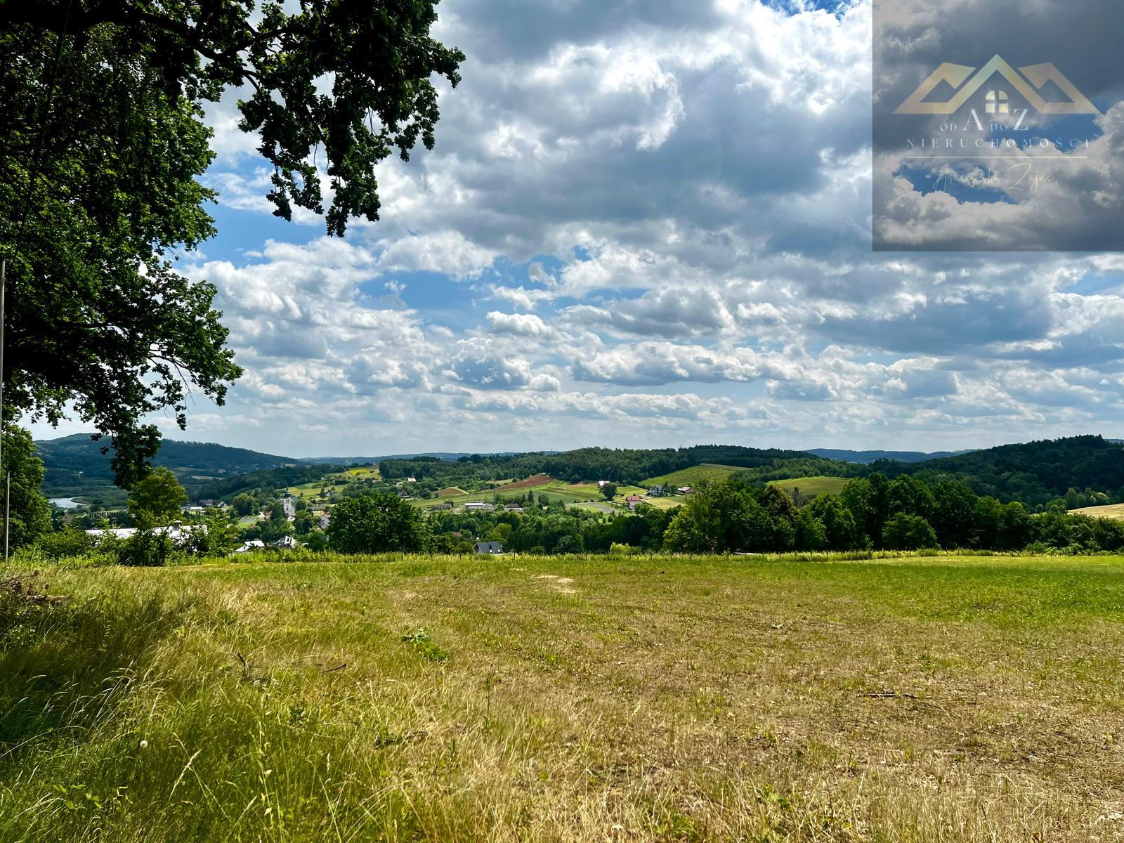 Las mieszany z widokiem na góry - Olszyny -
małopolskie Zdjęcie nr 1
