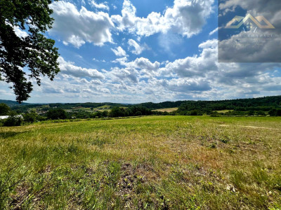 Las mieszany z widokiem na góry - Olszyny -
małopolskie Zdjęcie nr 7