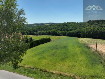 Na sprzedaż działka 59 arów Łękawica k Tarnowa - Łękawica  -
małopolskie Zdjęcie nr 5