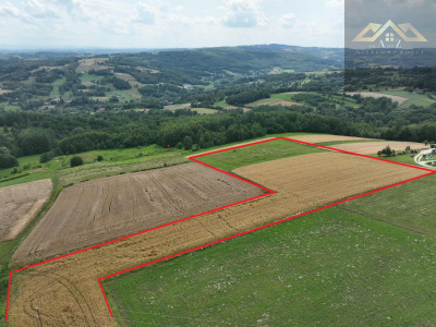Działka rolna w Piotrkowicach - Piotrkowice   - małopolskie