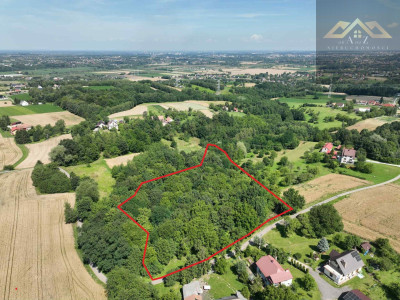 Działka 81 arów- Świebodzin gm Pleśna - Świebodzin   - małopolskie