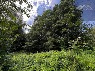 Działka rolno-budowlana z własnym lasem - Milówka -
małopolskie Zdjęcie nr 2