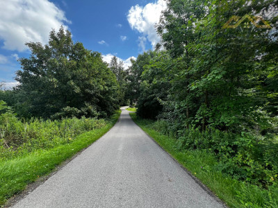 Działka rolno-budowlana z własnym lasem - Milówka -
małopolskie Zdjęcie nr 5