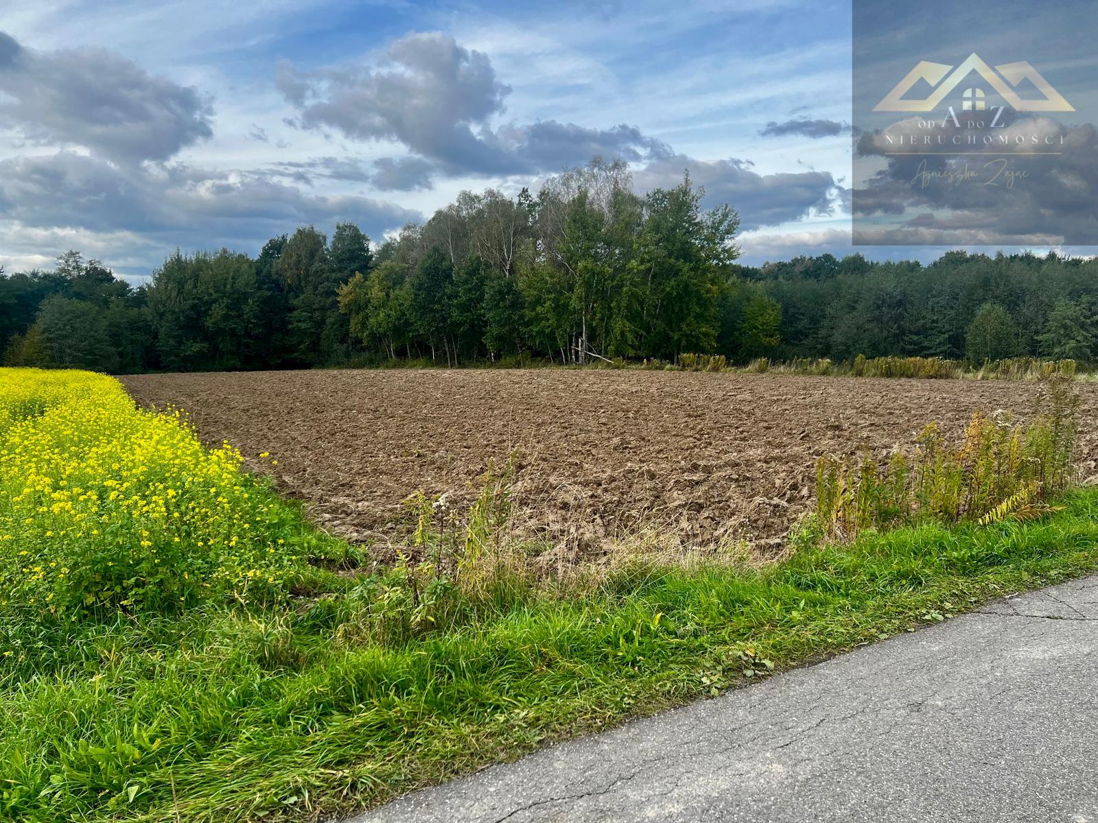 Działka rolno-budowlana blisko lasu Wojnicz 3km - Łopoń  -
małopolskie Zdjęcie nr 1