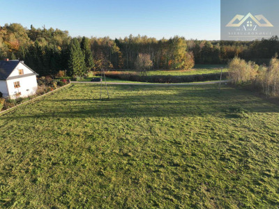 Duża działka blisko lasu brak planu zagospodarowania - Biadoliny Radłowskie  -
małopolskie Zdjęcie nr 11