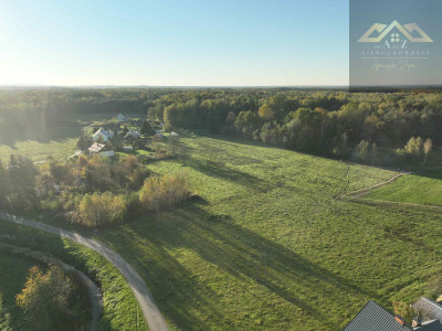 Duża działka blisko lasu brak planu zagospodarowania - Biadoliny Radłowskie  -
małopolskie Zdjęcie nr 12