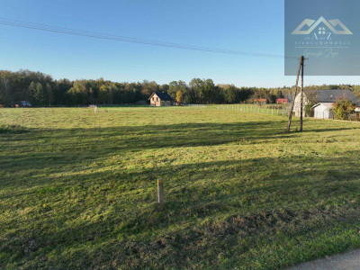 Duża działka blisko lasu brak planu zagospodarowania - Biadoliny Radłowskie  -
małopolskie Zdjęcie nr 13