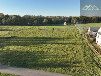 Duża działka blisko lasu brak planu zagospodarowania - Biadoliny Radłowskie  -
małopolskie Zdjęcie nr 14