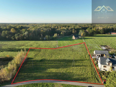 Duża działka blisko lasu brak planu zagospodarowania - Biadoliny Radłowskie  - małopolskie