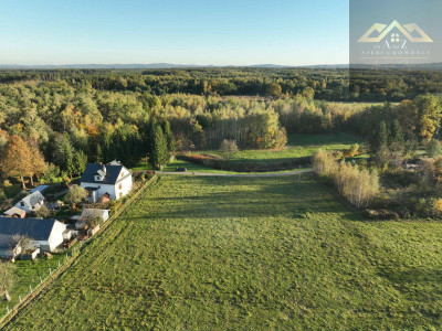 Duża działka blisko lasu brak planu zagospodarowania - Biadoliny Radłowskie  -
małopolskie Zdjęcie nr 4