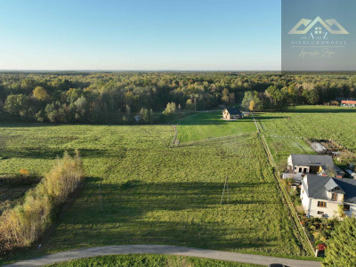 Duża działka blisko lasu brak planu zagospodarowania - Biadoliny Radłowskie  -
małopolskie Zdjęcie nr 9