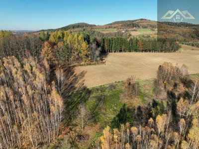 WZ na 4 budynki mieszkalne w trakcie uzystkiwania - Olszowa  -
małopolskie Zdjęcie nr 14