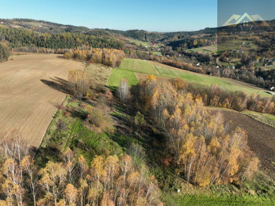 WZ na 4 budynki mieszkalne w trakcie uzystkiwania - Olszowa  -
małopolskie Zdjęcie nr 2