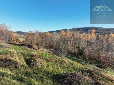 WZ na 4 budynki mieszkalne w trakcie uzystkiwania - Olszowa  -
małopolskie Zdjęcie nr 5