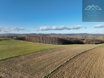 Stoisz wysoko patrzysz daleko widoki rozchodzą się tu szerokimi kadrami idealna działka - Ołpiny  -
małopolskie Zdjęcie nr 12