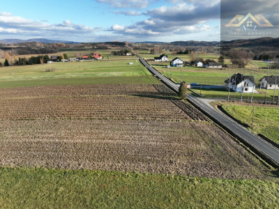 Stoisz wysoko patrzysz daleko widoki rozchodzą się tu szerokimi kadrami idealna działka - Ołpiny  -
małopolskie Zdjęcie nr 3