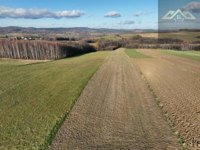 Stoisz wysoko patrzysz daleko widoki rozchodzą się tu szerokimi kadrami idealna działka - Ołpiny  -
małopolskie Zdjęcie nr 6