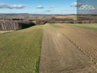 Stoisz wysoko patrzysz daleko widoki rozchodzą się tu szerokimi kadrami idealna działka - Ołpiny  -
małopolskie Zdjęcie nr 7