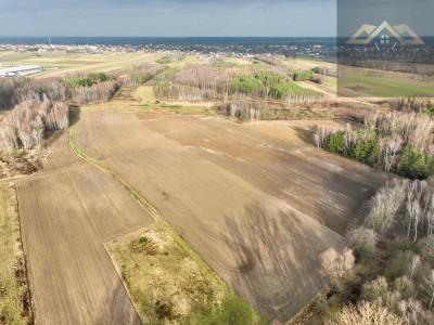 Działka z lasem w atrakcyjnej lokalizacji - Lisia Góra  -
małopolskie Zdjęcie nr 2