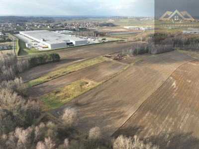 Działka z lasem w atrakcyjnej lokalizacji - Lisia Góra  -
małopolskie Zdjęcie nr 3