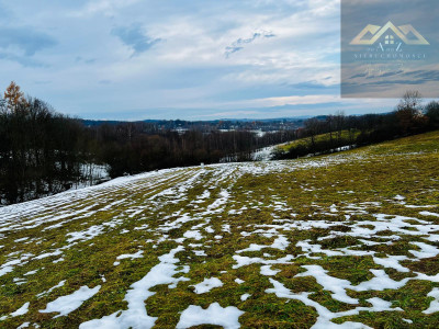 Okazja 189 HA pod zabudowę jednordzinną - Gnojnik  -
małopolskie Zdjęcie nr 4