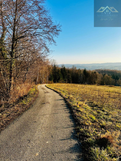 Tatry na horyzoncie - 46 arów na sprzedaż - Siemiechów  -
małopolskie Zdjęcie nr 10