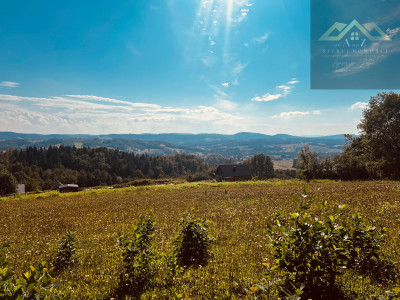 Tatry na horyzoncie - 46 arów na sprzedaż - Siemiechów  -
małopolskie Zdjęcie nr 8