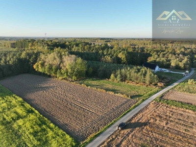 Działka w atrakcyjnej cenie koło Wojnicza - Łopoń - małopolskie