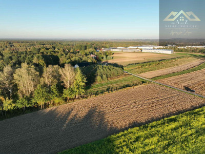 Działka w atrakcyjnej cenie koło Wojnicza - Łopoń  -
małopolskie Zdjęcie nr 3