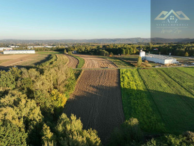 Działka w atrakcyjnej cenie koło Wojnicza - Łopoń  -
małopolskie Zdjęcie nr 4