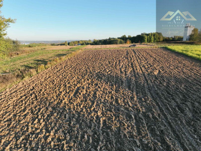 Działka w atrakcyjnej cenie koło Wojnicza - Łopoń  -
małopolskie Zdjęcie nr 5