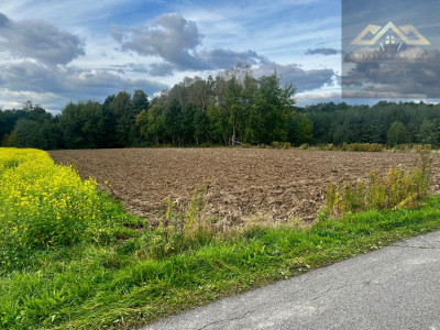 Działka w atrakcyjnej cenie koło Wojnicza - Łopoń  -
małopolskie Zdjęcie nr 6