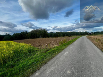 Działka w atrakcyjnej cenie koło Wojnicza - Łopoń  -
małopolskie Zdjęcie nr 7