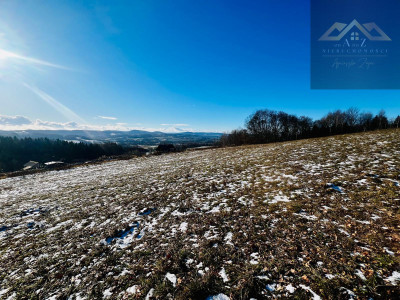 Działka z widokiem na góry - Siemiechów -
małopolskie Zdjęcie nr 7