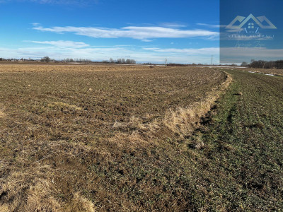 Grunt rolny wysoka klasa idealny pod uprawę i KRUS - Biskupice Radłowskie - małopolskie