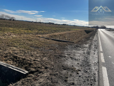 Grunt rolny wysoka klasa idealny pod uprawę i KRUS - Biskupice Radłowskie -
małopolskie Zdjęcie nr 2