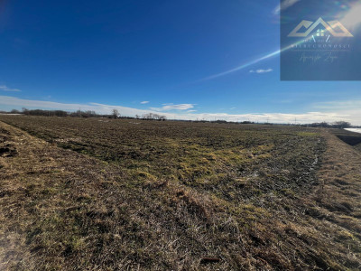 Grunt rolny wysoka klasa idealny pod uprawę i KRUS - Biskupice Radłowskie -
małopolskie Zdjęcie nr 4