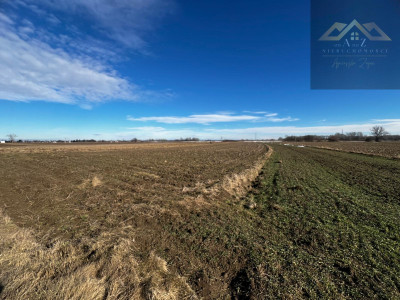 Grunt rolny wysoka klasa idealny pod uprawę i KRUS - Biskupice Radłowskie -
małopolskie Zdjęcie nr 5