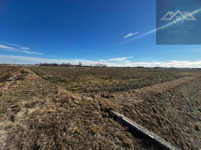 Grunt rolny wysoka klasa idealny pod uprawę i KRUS - Biskupice Radłowskie -
małopolskie Zdjęcie nr 7