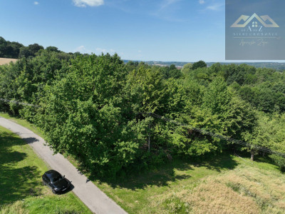 Działka 81 arów- Świebodzin gm Pleśna - Świebodzin  -
małopolskie Zdjęcie nr 4