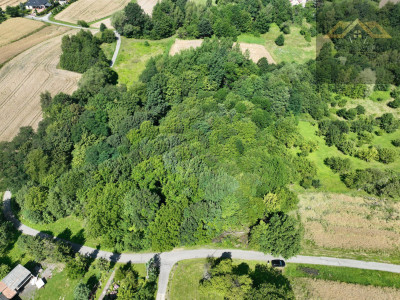 Działka 81 arów- Świebodzin gm Pleśna - Świebodzin  -
małopolskie Zdjęcie nr 5