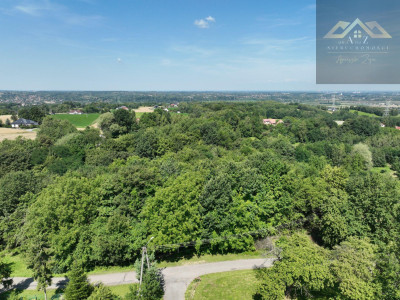 Działka 81 arów- Świebodzin gm Pleśna - Świebodzin  -
małopolskie Zdjęcie nr 6